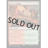 燃えがらの林間地/Cinder Glade《日本語》【M3C】