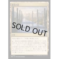 祖先の道/Path of Ancestry《日本語》【M3C】