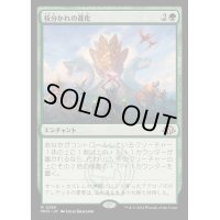 [EX+](FOIL)枝分かれの進化/Branching Evolution《日本語》【MH3】
