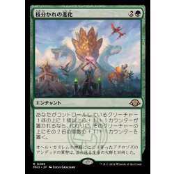 画像1: [EX+](FOIL)枝分かれの進化/Branching Evolution《日本語》【MH3】