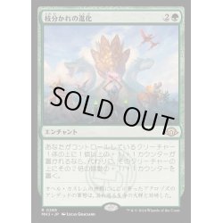 画像1: 枝分かれの進化/Branching Evolution《日本語》【MH3】