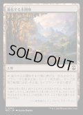 [EX+]進化する未開地/Evolving Wilds《日本語》【M3C】