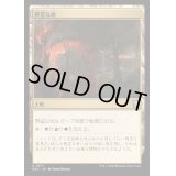 [EX+]野蛮な地/Savage Lands《日本語》【M3C】