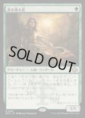 [EX+](FOIL)森を護る者/Sylvan Safekeeper《日本語》【MH3】