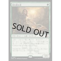 [EX+](FOIL)森を護る者/Sylvan Safekeeper《日本語》【MH3】