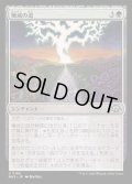 [EX+](FOIL)殲滅の道/Path of Annihilation《日本語》【MH3】