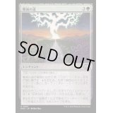[EX+](FOIL)殲滅の道/Path of Annihilation《日本語》【MH3】