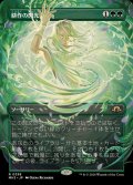 (FOIL)(フルアート)耕作の閃光/Flare of Cultivation《日本語》【MH3】
