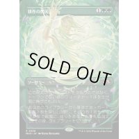 [EX+](FOIL)(フルアート)耕作の閃光/Flare of Cultivation《日本語》【MH3】