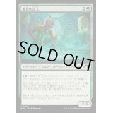 [EX+](FOIL)進化の証人/Evolution Witness《日本語》【MH3】