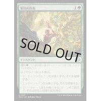 [EX+]集団的防衛/Collective Resistance《日本語》【MH3】