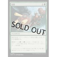 [EX+](FOIL)鳥撃/Fowl Strike《日本語》【MH3】