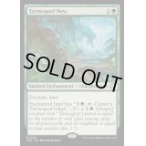 [EX+]タルモゴイフの巣/Tarmogoyf Nest《英語》【M3C】