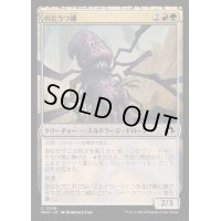 [EX+](FOIL)のたうつ蛹/Writhing Chrysalis《日本語》【MH3】