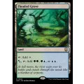 [EX+]溢れかえる果樹園/Flooded Grove《英語》【M3C】