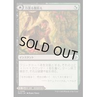 [EX+](FOIL)力漲る腹拵え/Revitalizing Repast《日本語》【MH3】
