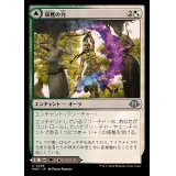 収穫の力/Strength of the Harvest《日本語》【MH3】