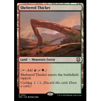 隠れた茂み/Sheltered Thicket《英語》【M3C】