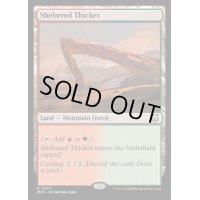 [EX+]隠れた茂み/Sheltered Thicket《英語》【M3C】