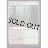 [EX+](リップルFOIL)汚れた森/Tainted Wood《英語》【M3C】
