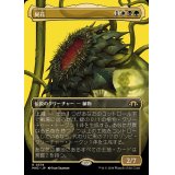 (FOIL)(フルアート)屍花/The Necrobloom《日本語》【MH3】