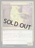 [EX+](FOIL)広がる軟泥/Expanding Ooze《日本語》【MH3】