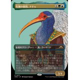 [EX](フルアート)有翼の叡智、ナドゥ/Nadu, Winged Wisdom《日本語》【MH3】