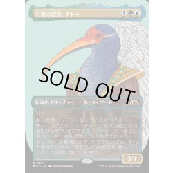 画像1: [EX](FOIL)(フルアート)有翼の叡智、ナドゥ/Nadu, Winged Wisdom《日本語》【MH3】
