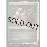 [EX+](エッチングFOIL)熊の中の王、クードー/Kudo, King Among Bears《日本語》【MH3】