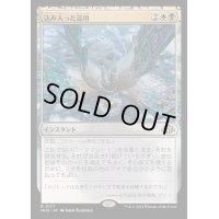 [EX+]込み入った盗用/Abstruse Appropriation《日本語》【MH3】