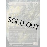 [EX+](FOIL)(フルアート)白蘭の幻影/White Orchid Phantom《日本語》【MH3】