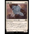 白蘭の幻影/White Orchid Phantom《日本語》【MH3】