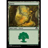 (リップルFOIL)(0505)森/Forest《英語》【MH3】