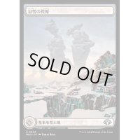 [EX+](FOIL)(フルアート)冠雪の荒地/Snow-Covered Wastes《日本語》【MH3】