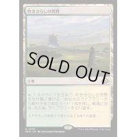 [EX+](FOIL)吹きさらしの荒野/Windswept Heath《日本語》【MH3】