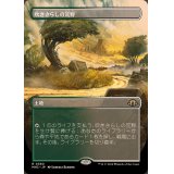 (フルアート)(0360)吹きさらしの荒野/Windswept Heath《日本語》【MH3】