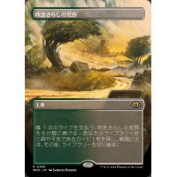 (フルアート)(0360)吹きさらしの荒野/Windswept Heath《日本語》【MH3】