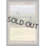 [EX+](FOIL)(旧枠仕様)吹きさらしの荒野/Windswept Heath《日本語》【MH3】