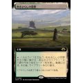 [EX+](フルアート)(0466)吹きさらしの荒野/Windswept Heath《日本語》【MH3】