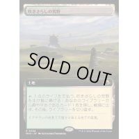[EX](フルアート)(0466)吹きさらしの荒野/Windswept Heath《日本語》【MH3】