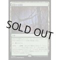 [EX+](FOIL)変容する森林/Shifting Woodland《日本語》【MH3】