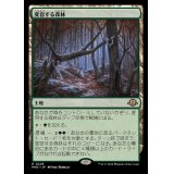 変容する森林/Shifting Woodland《日本語》【MH3】