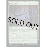 [EX+](FOIL)変容する森林/Shifting Woodland《日本語》【MH3】