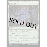 [EX+](FOIL)変容する森林/Shifting Woodland《日本語》【MH3】