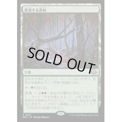 画像1: [EX+](FOIL)変容する森林/Shifting Woodland《日本語》【MH3】