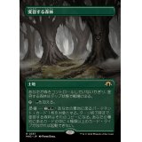 (フルアート)変容する森林/Shifting Woodland《日本語》【MH3】
