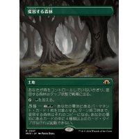 (フルアート)変容する森林/Shifting Woodland《日本語》【MH3】