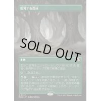 [EX+](FOIL)(フルアート)変容する森林/Shifting Woodland《日本語》【MH3】