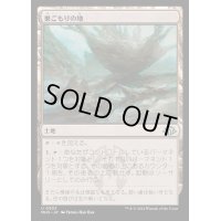 [EX+](FOIL)巣ごもりの地/Nesting Grounds《日本語》【MH3】