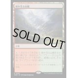 [EX+](FOIL)樹木茂る山麓/Wooded Foothills《日本語》【MH3】
